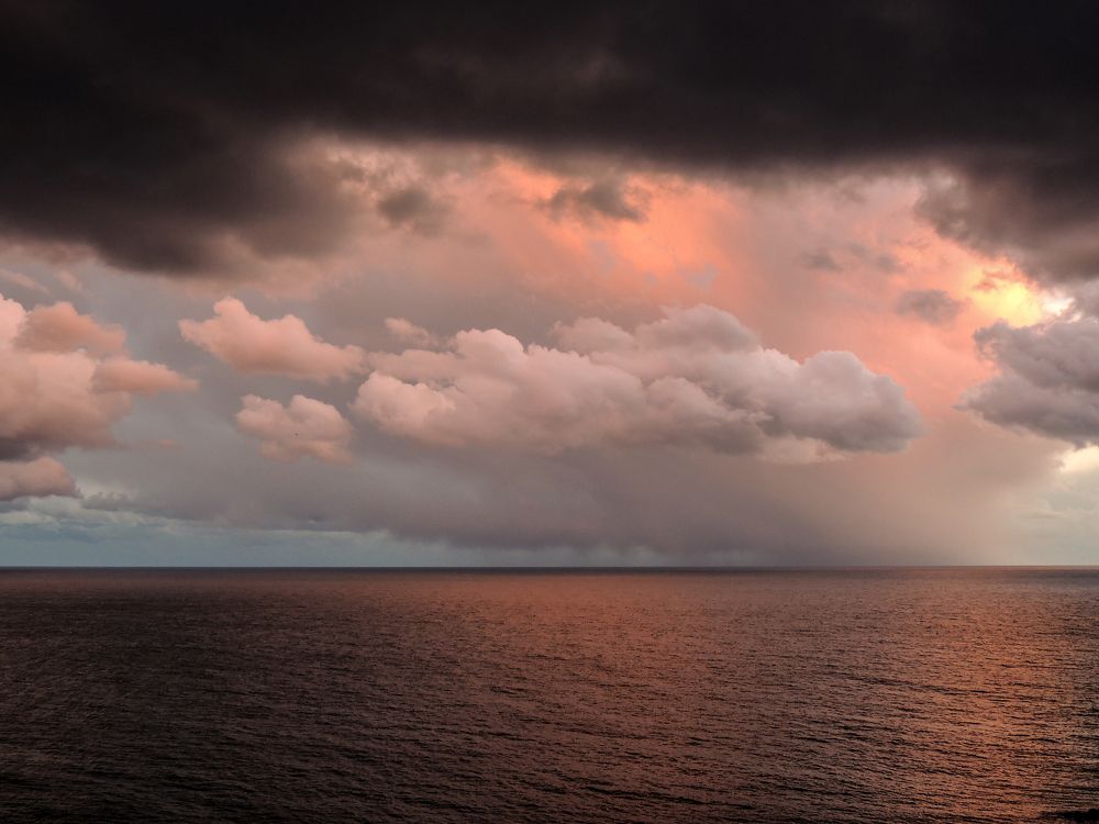 Белые странники