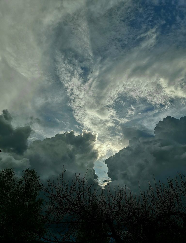 Photo #6155083