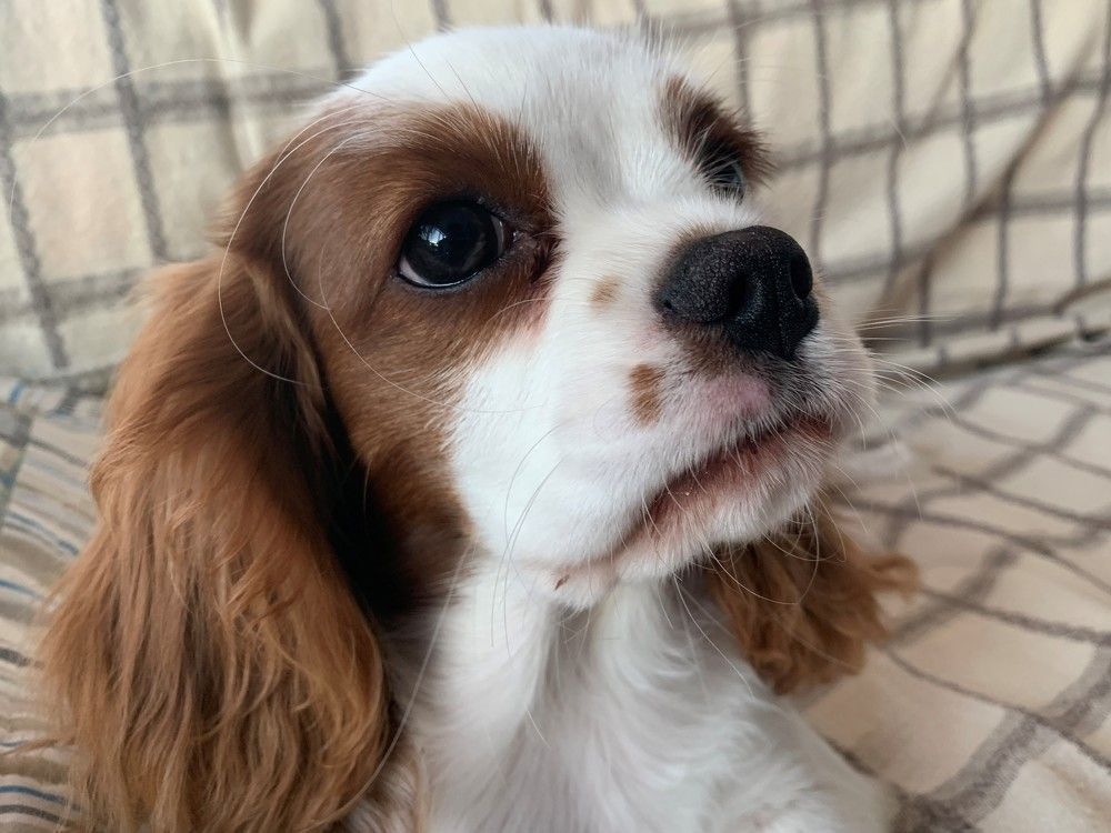 Photograph by AKIN KALAYCI