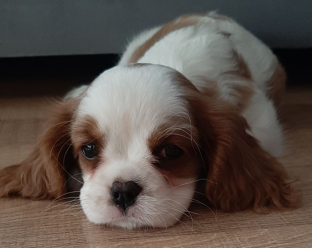 Photograph by AKIN KALAYCI