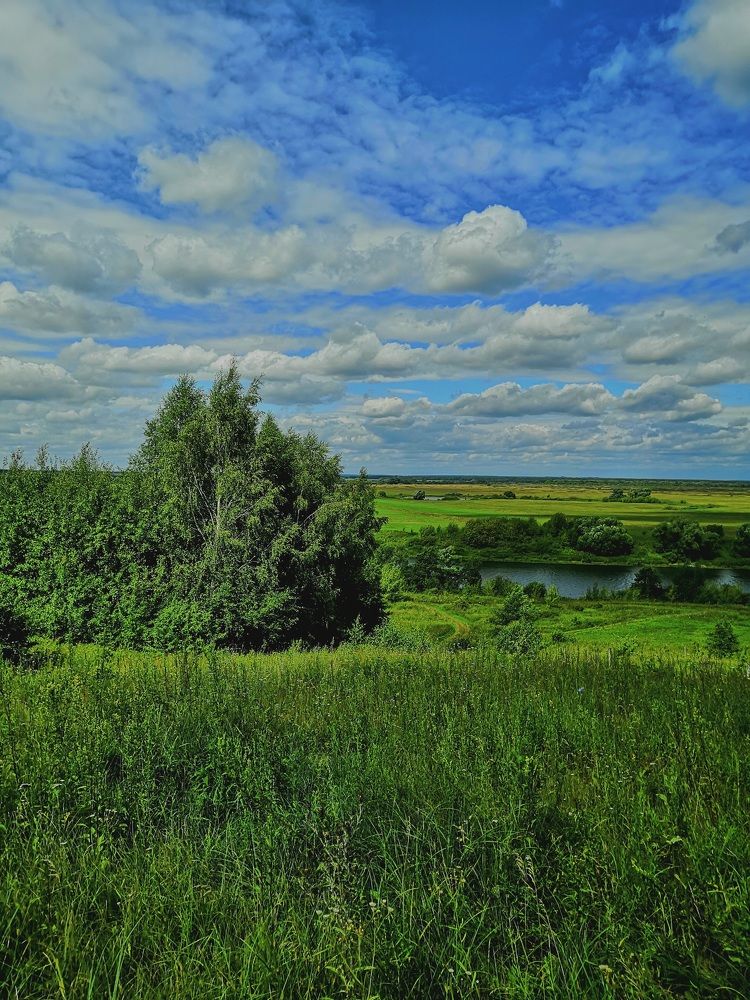 Фотография автора Ксения Попова
