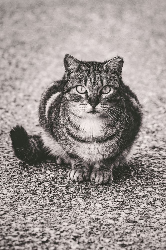 Photograph by Filipa Silva