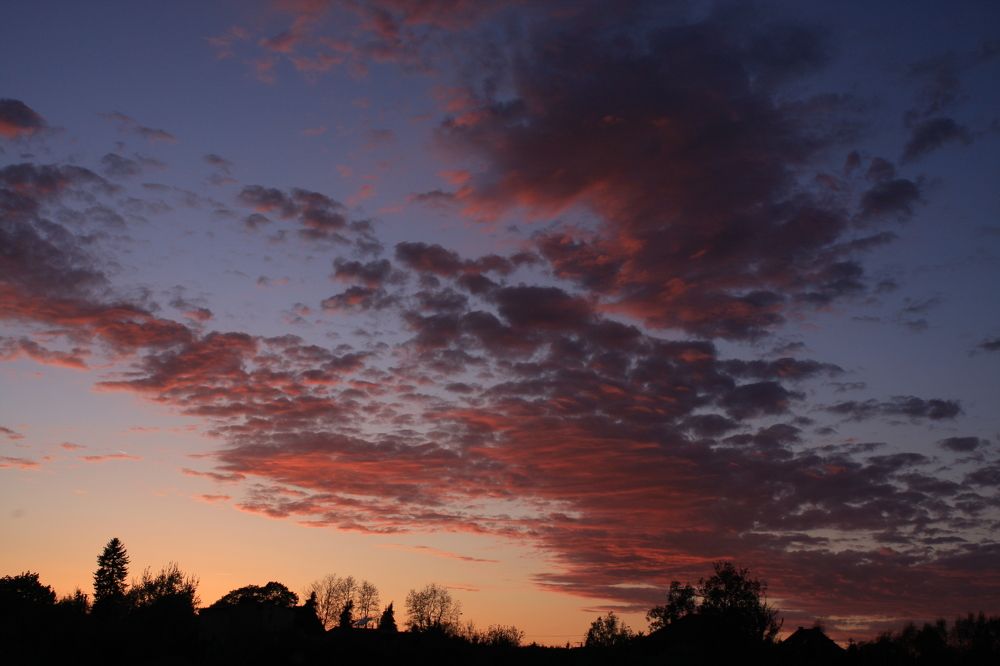 Photograph by Barbara Podlecka