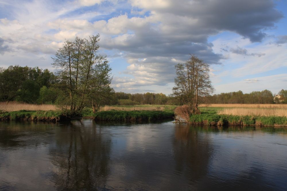 Meadows on the Gwda River in Piła