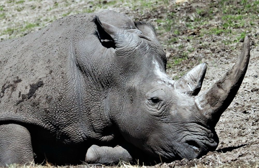 Photograph by Anja kroes