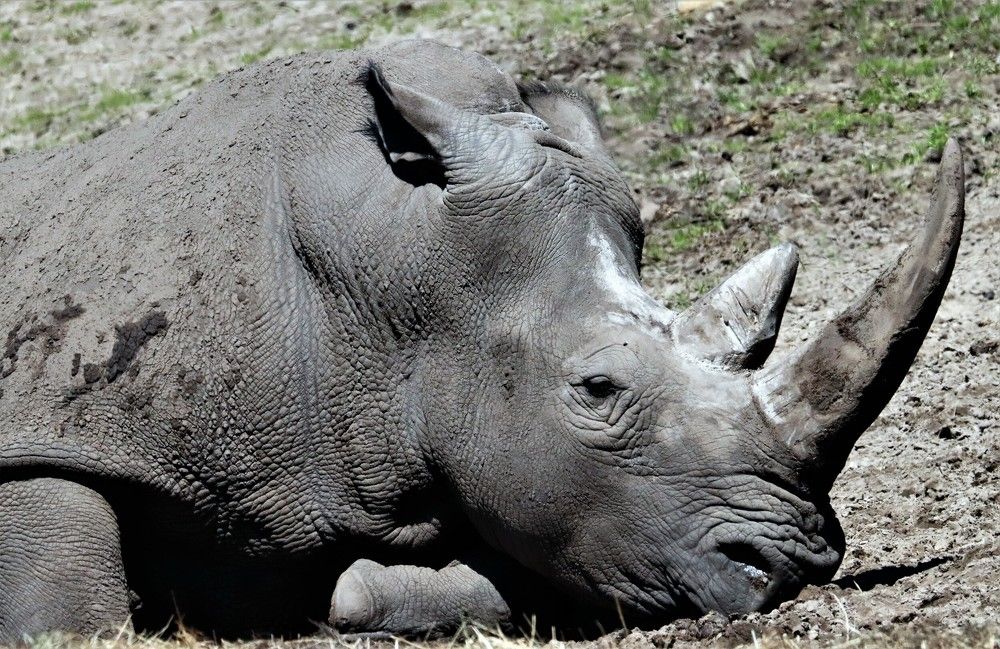 Photograph by Anja kroes