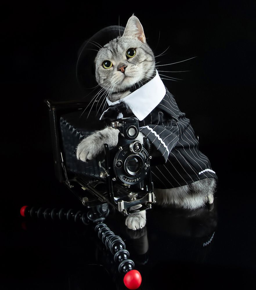 Маркиз - Фотограф