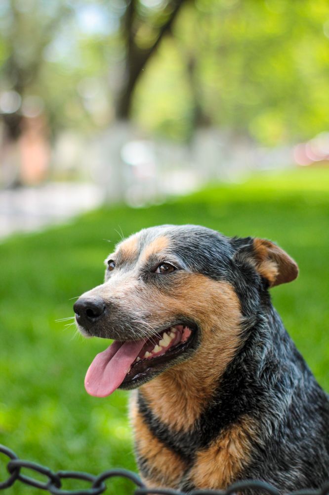 Photograph by Luis Par