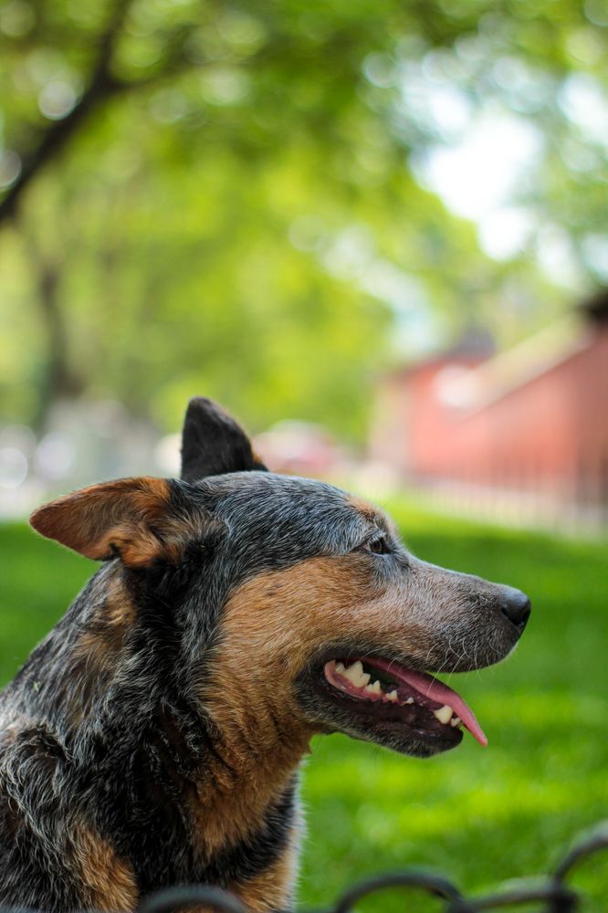 Photograph by Luis Par