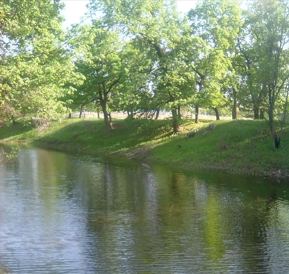 Photograph by Марта Васильева