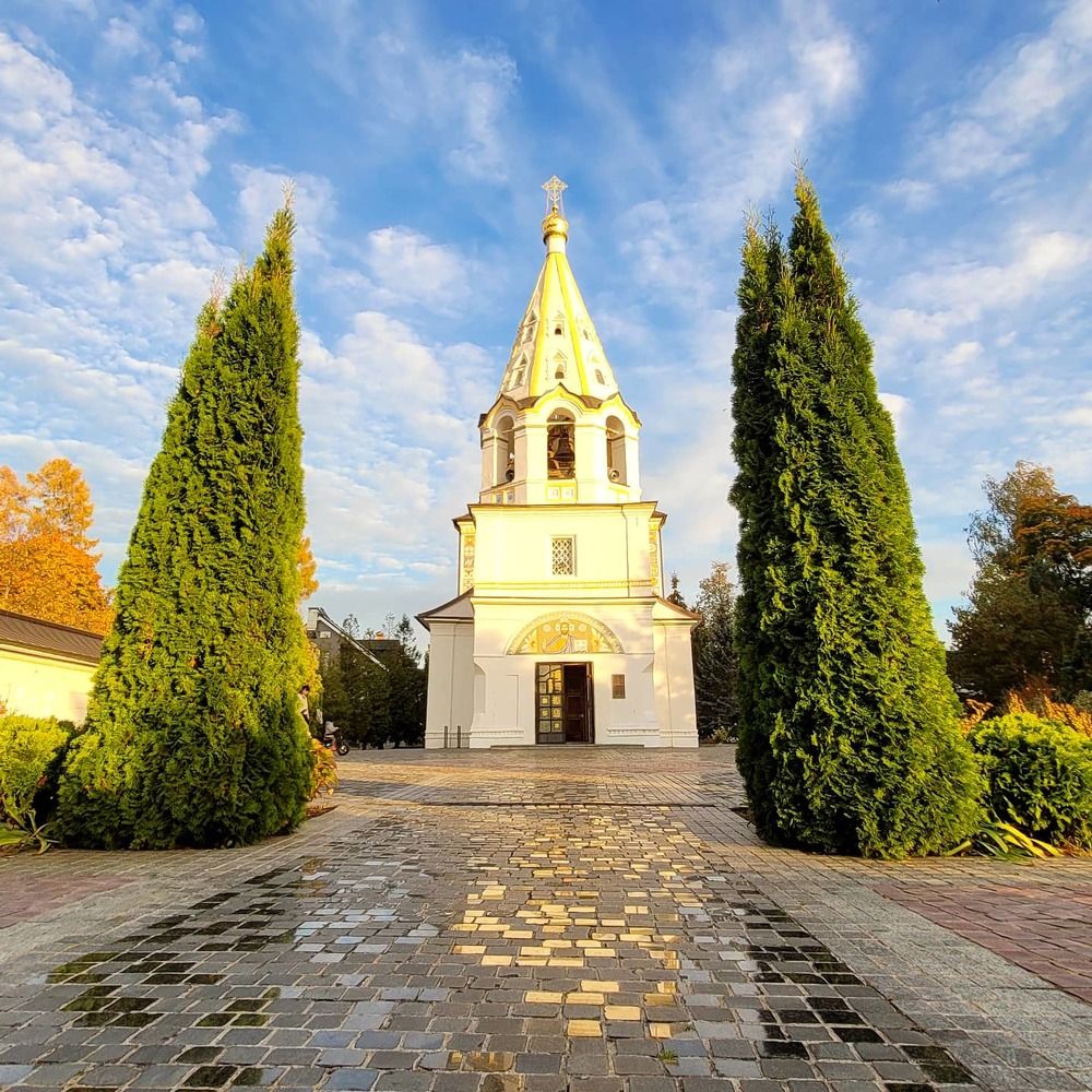 Photograph by victoria chaikova