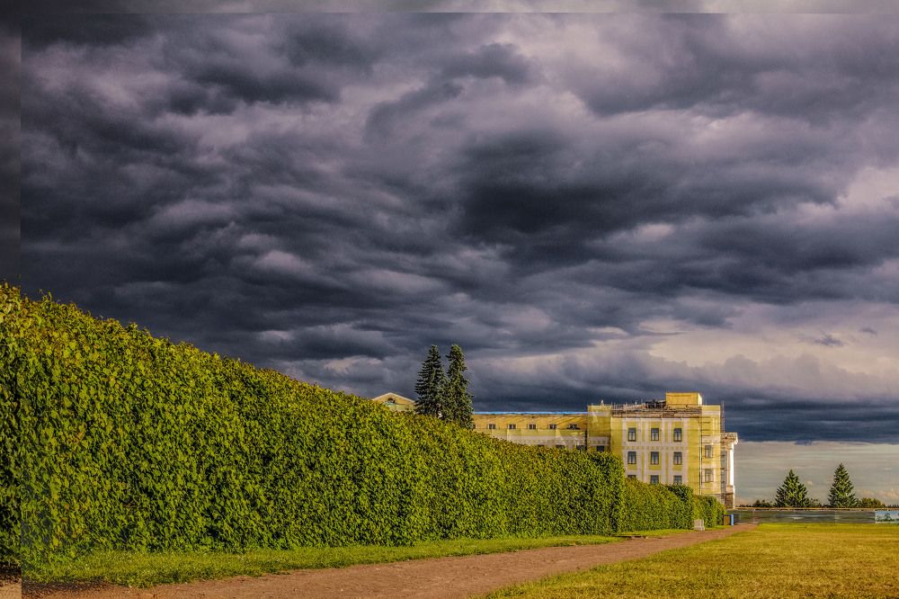 Photograph by victoria chaikova