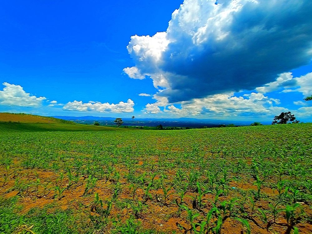 Photograph by Francis Leo Loberanes