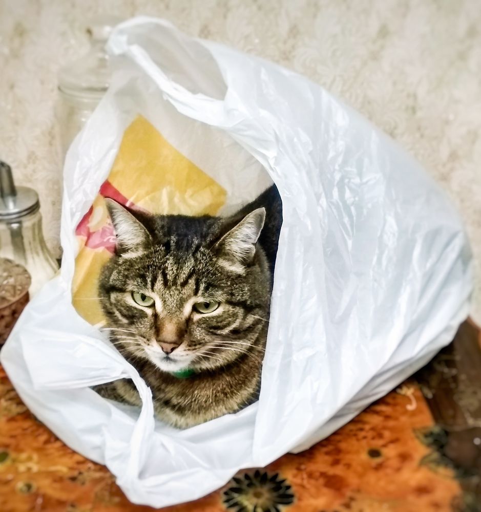 Photograph by Ольга Васильева