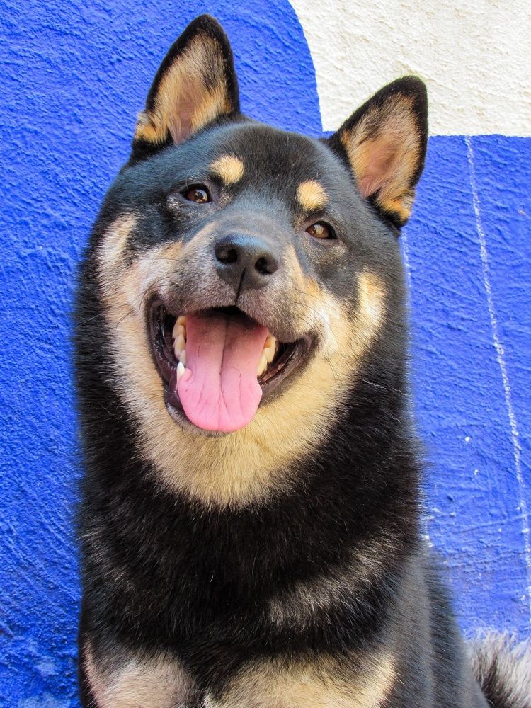 Photograph by Juan Carlos Molina Montes de Oca