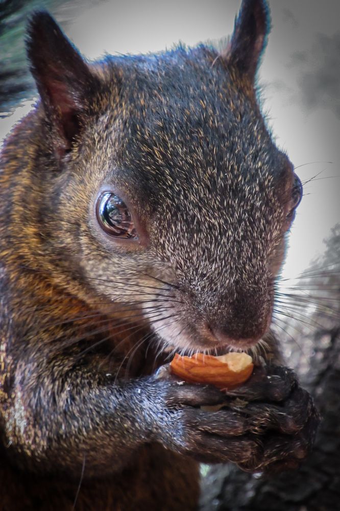 Photograph by Juan Carlos Molina Montes de Oca