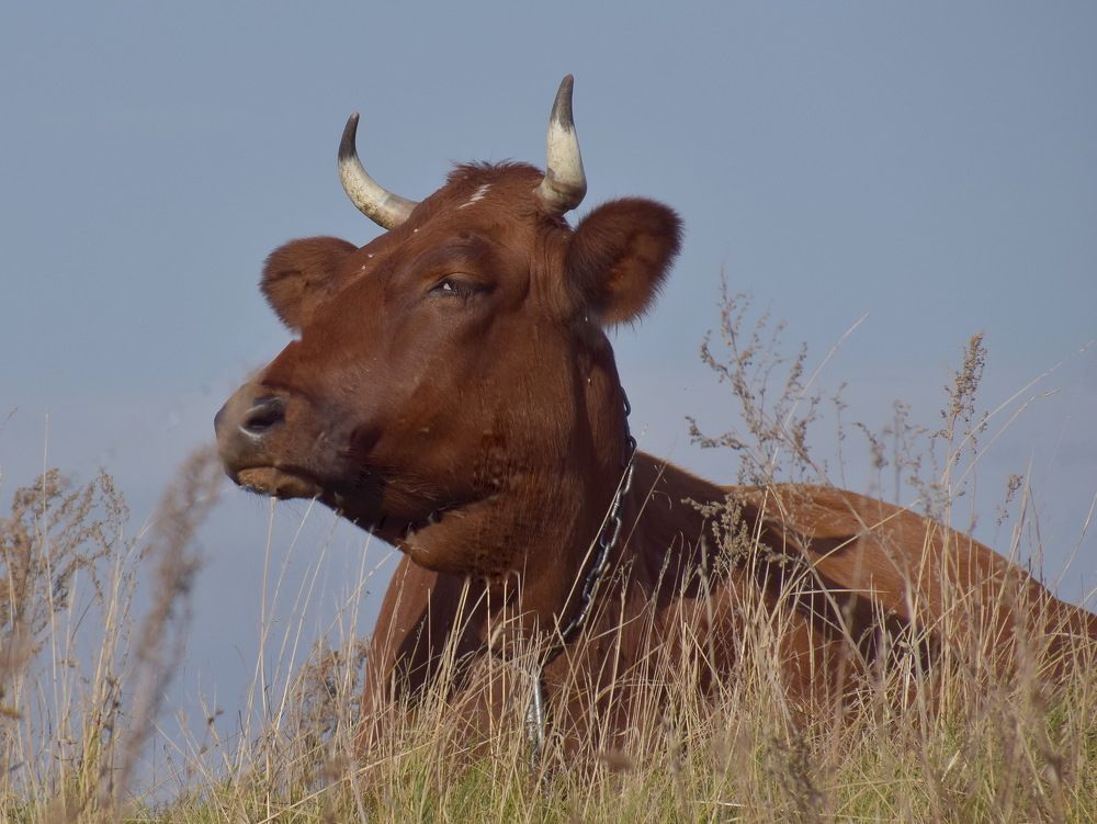 Photograph by Василий Быстрицкий