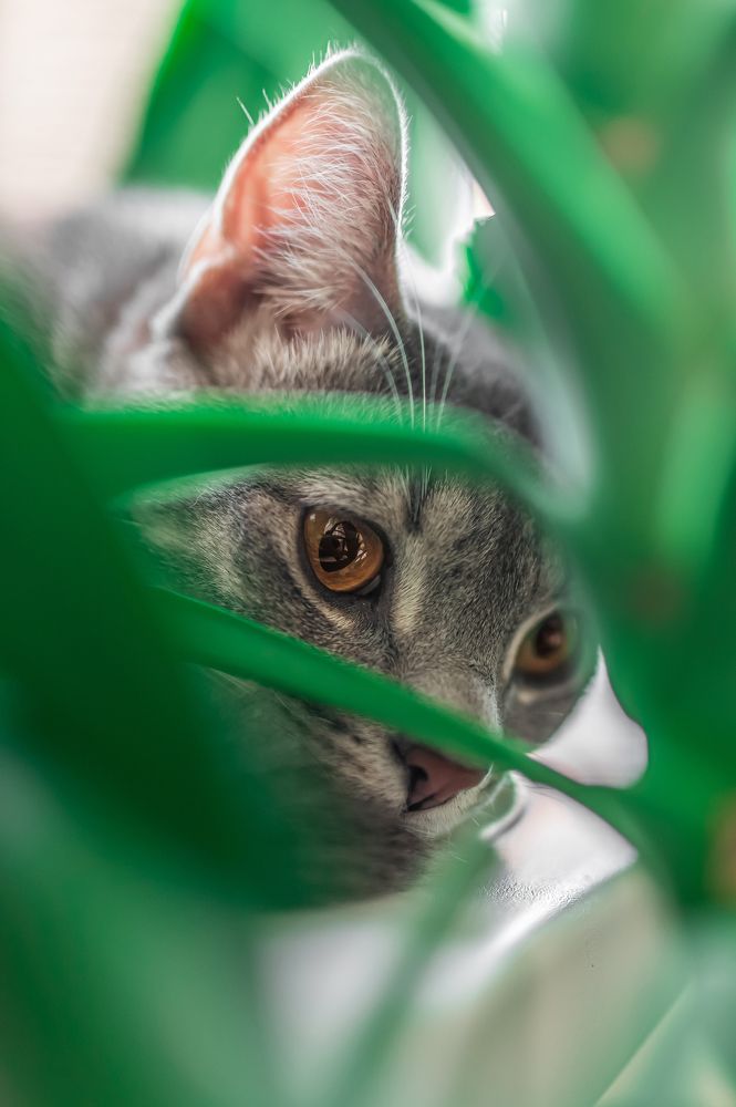 Photograph by Виталий Касьянов