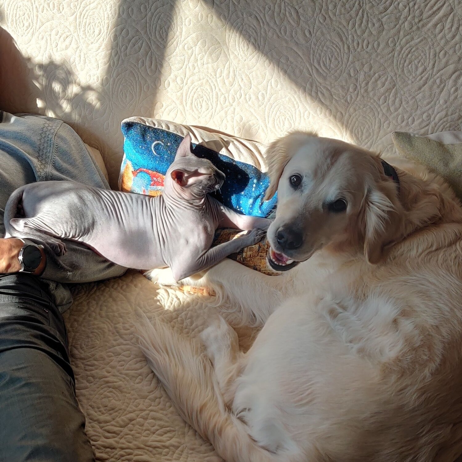 Photo #6155531