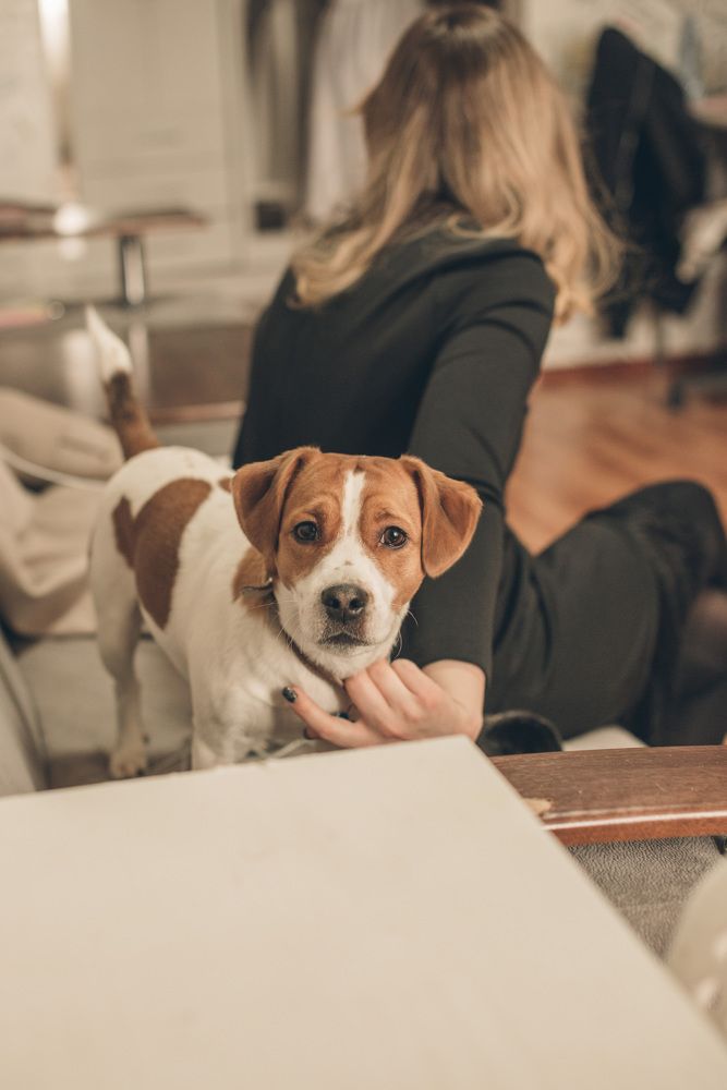 Photograph by Светлана Гришина