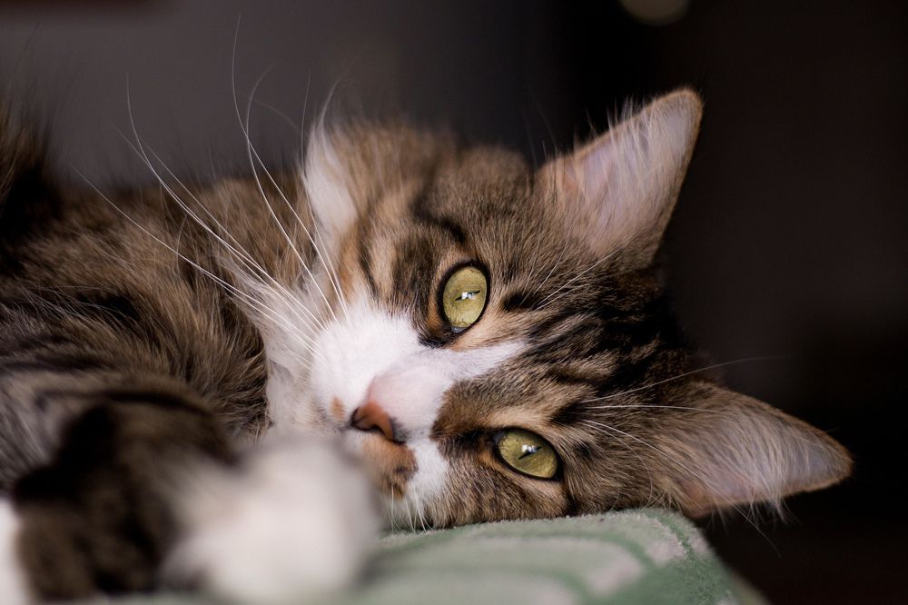 Photograph by Антонина Кузнецова