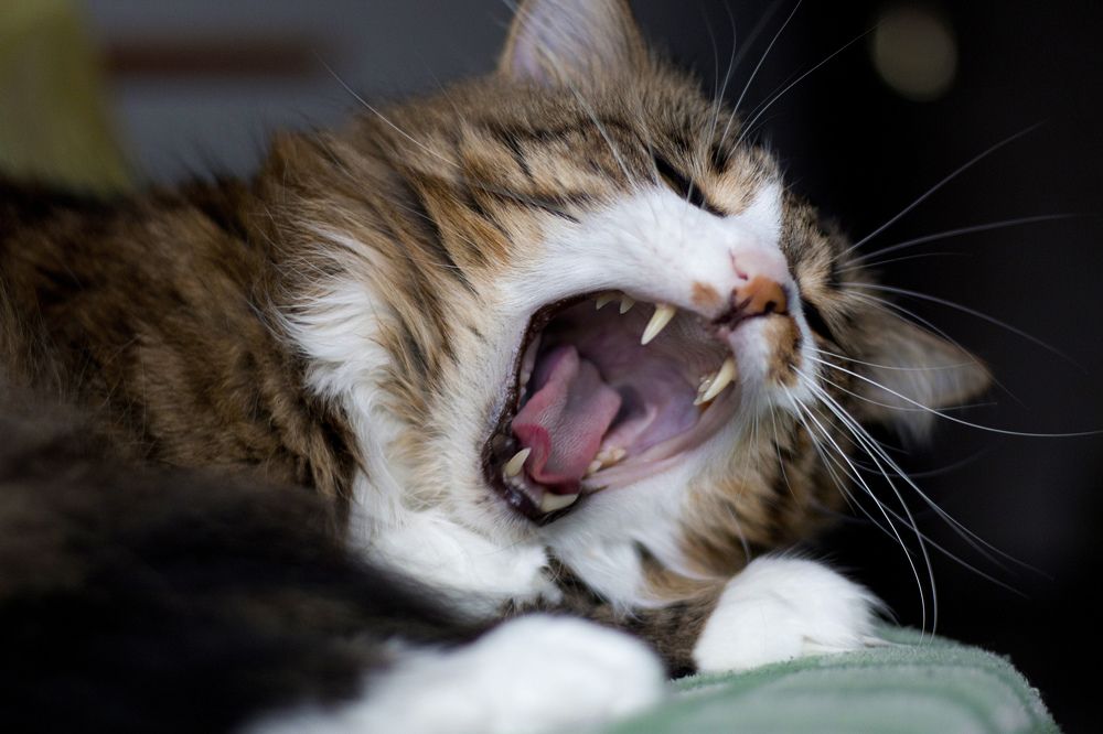 Photograph by Антонина Кузнецова