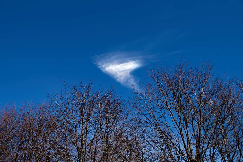 Photograph by Марина Сантарович