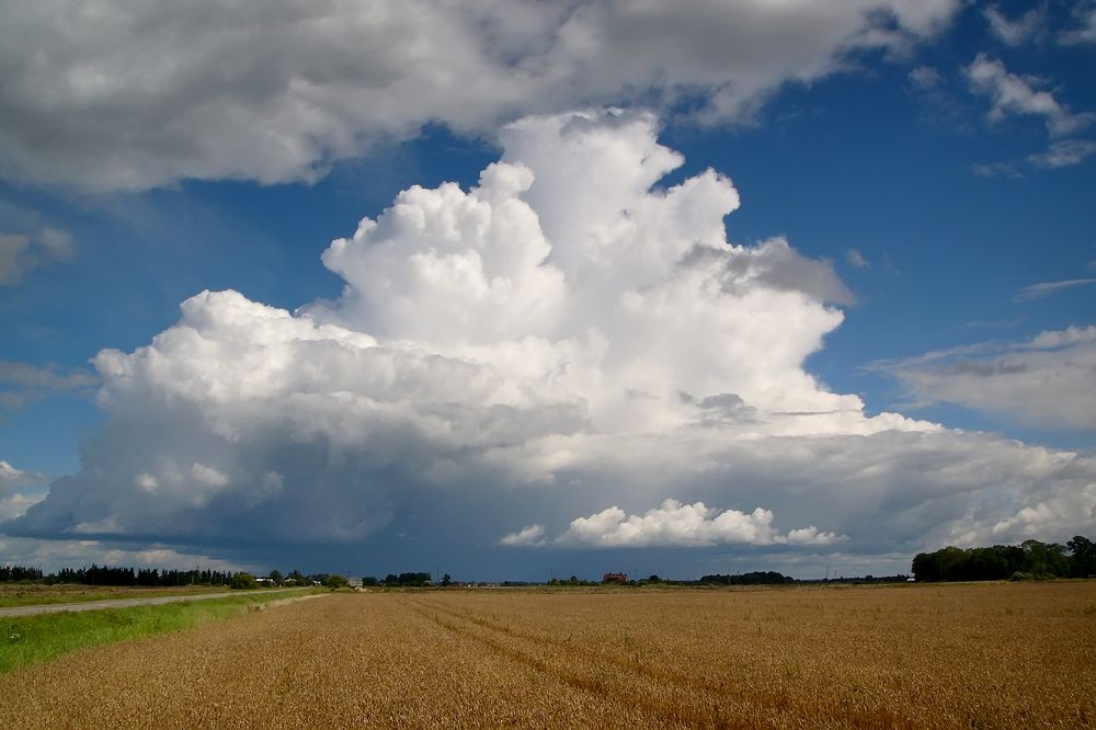 Photograph by Guntars