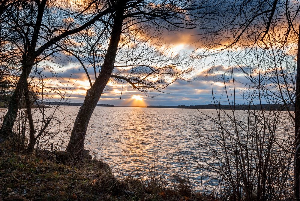 Photograph by Дементьев Владимир