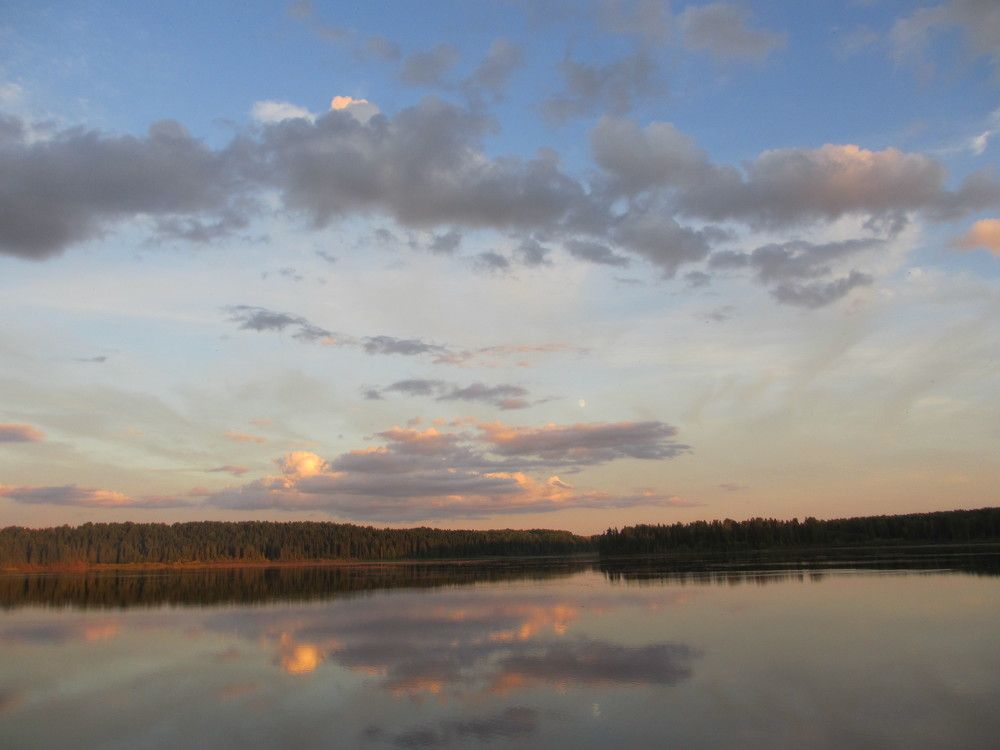 Photo #6155639
