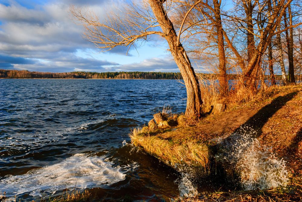 Photograph by Дементьев Владимир