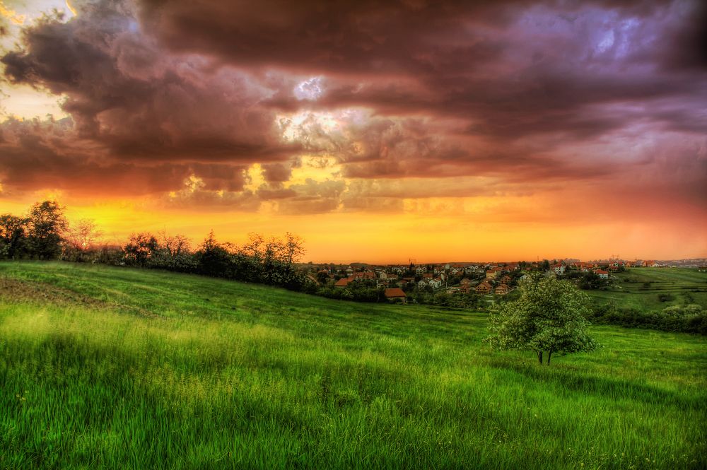 Photograph by Bojan Dzodan