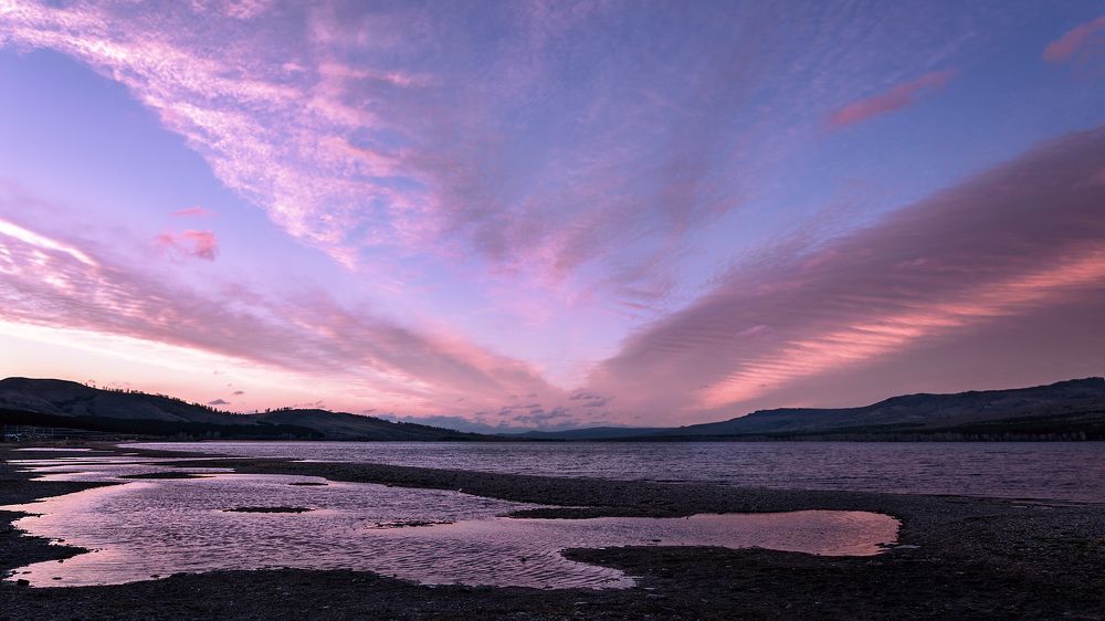 Со свободой парящие...