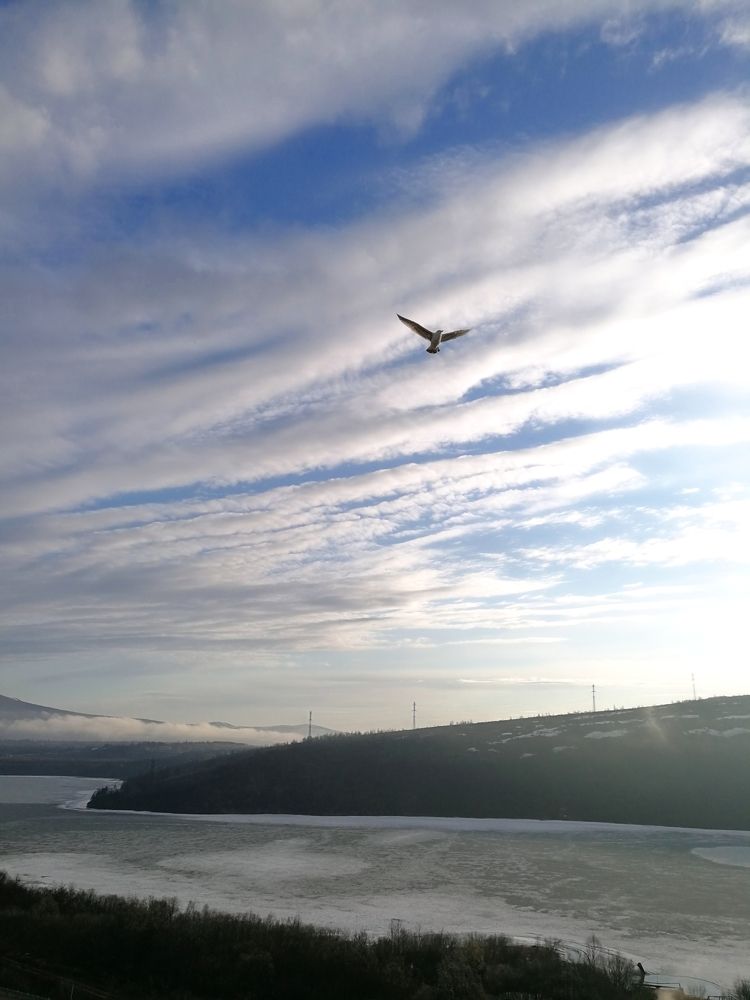 Photograph by ОЛЬГА Лаврик