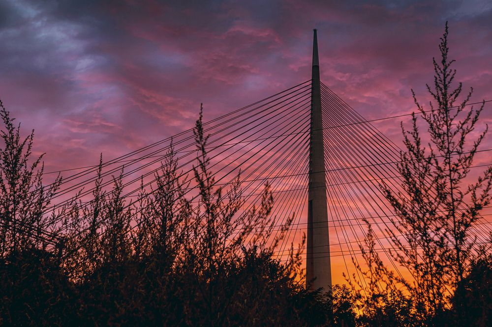 Photograph by Bojan Dzodan