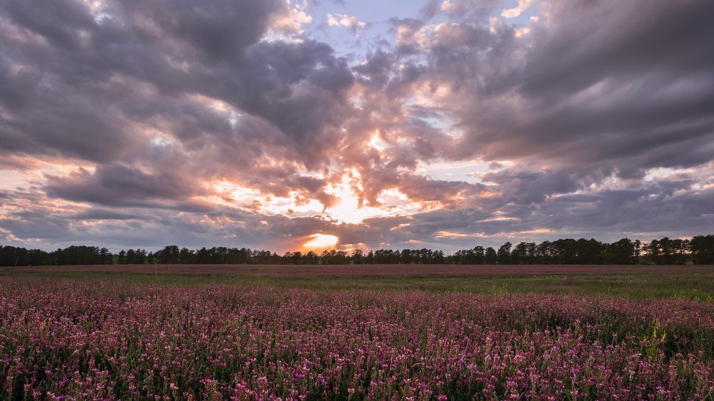 Летят,пылая, облака...