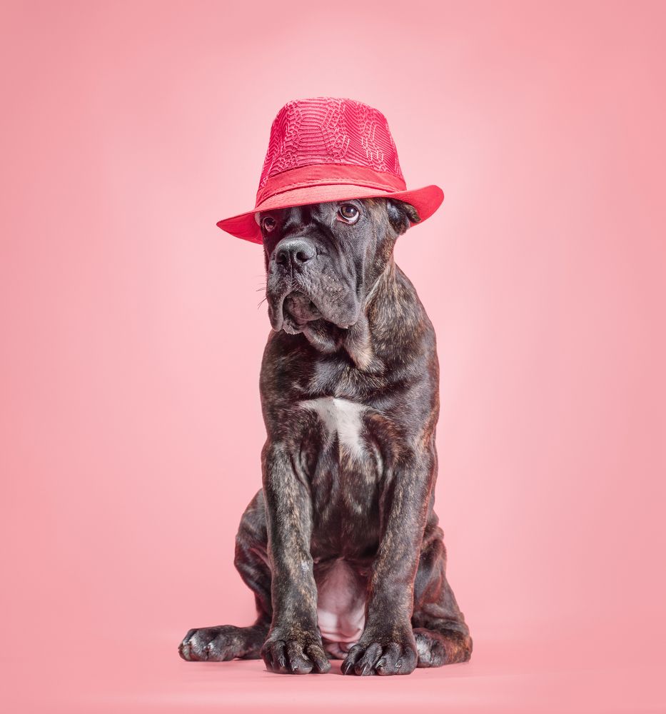 Фотография автора Гера Восьмая