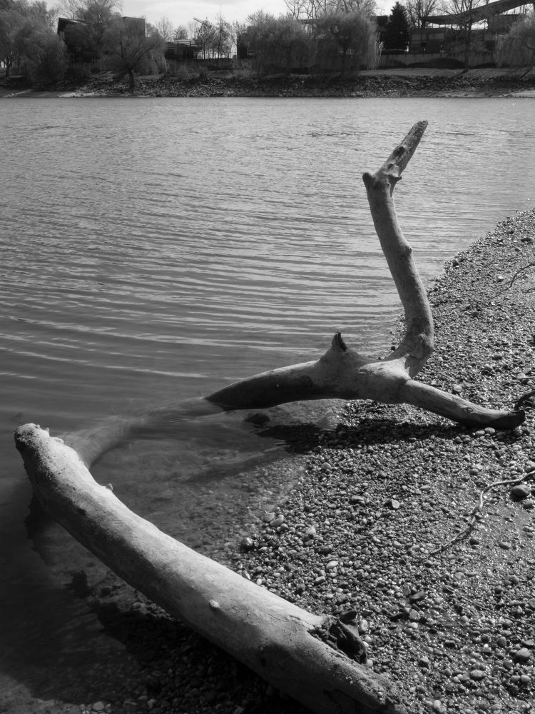 Фотография автора Denes Doma