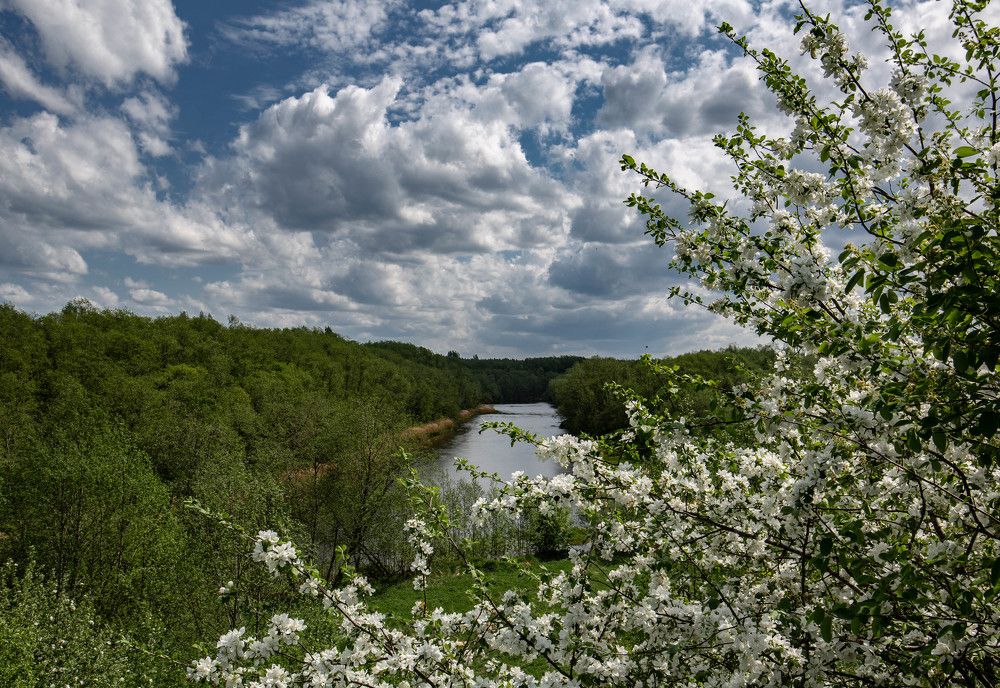 Photograph by Ольга Сафронова