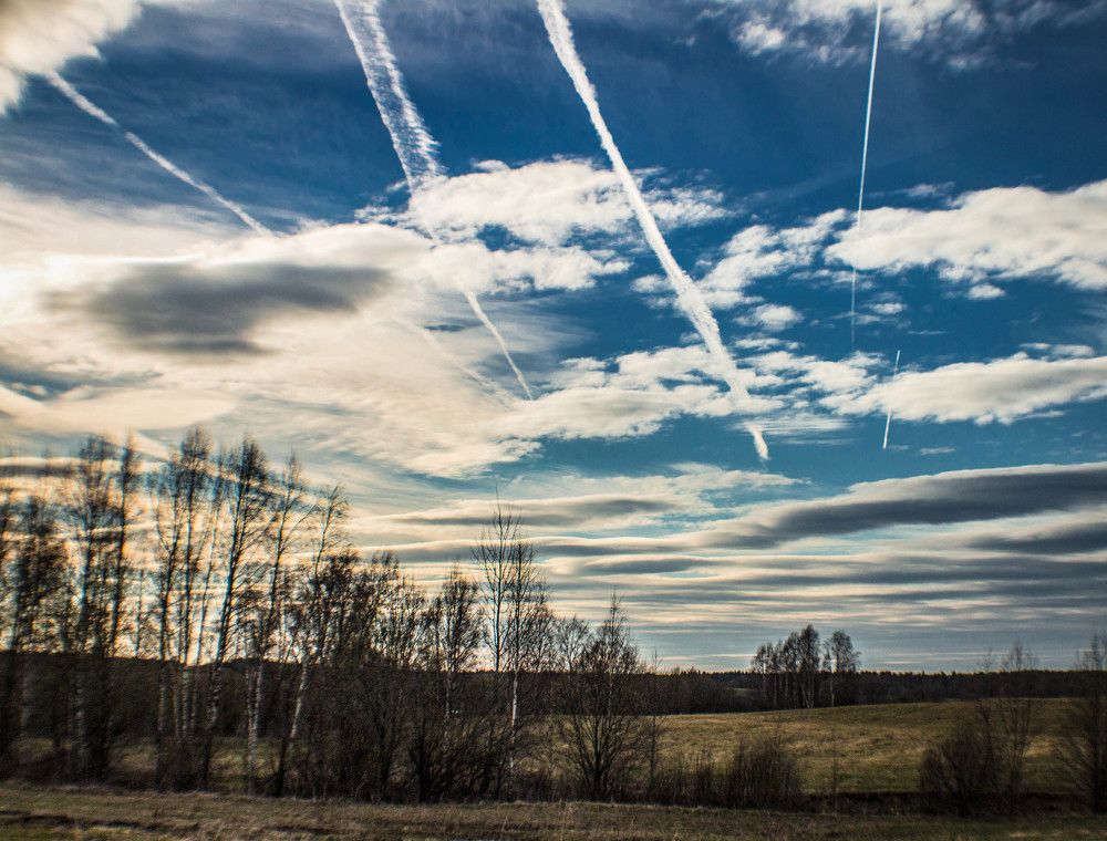 Photograph by Ольга Сафронова