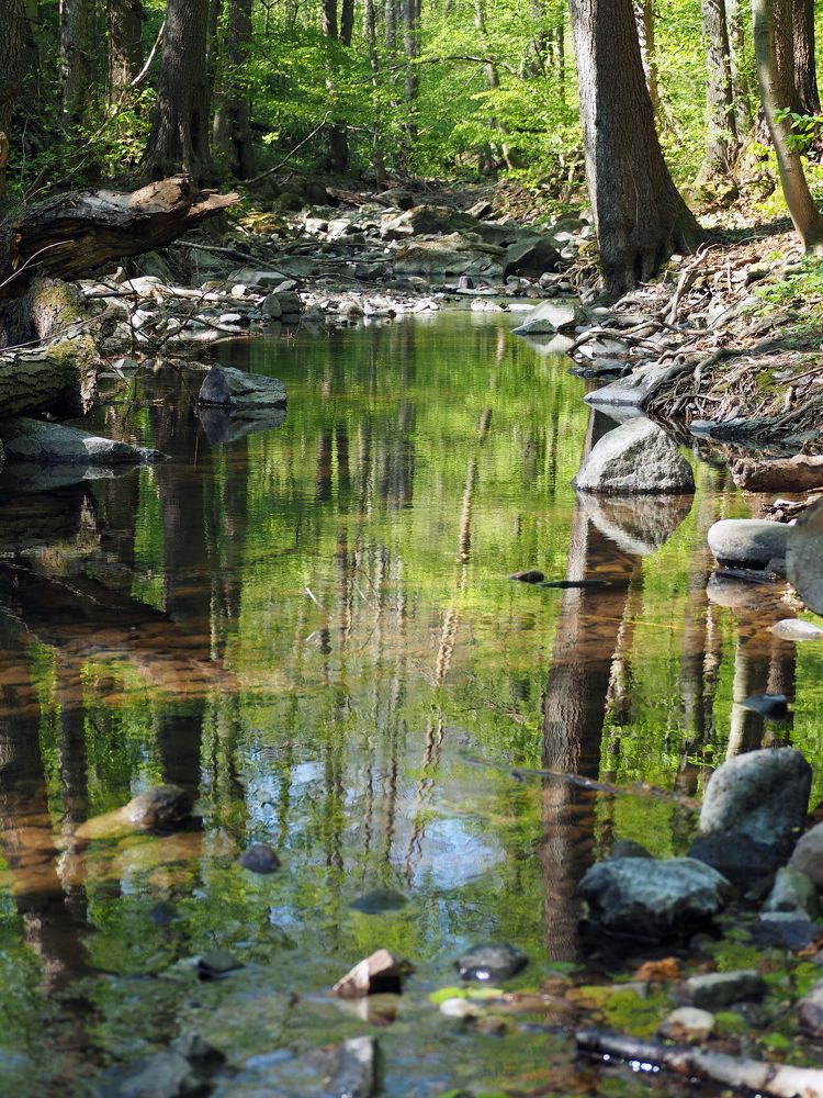 Фотография автора Denes Doma