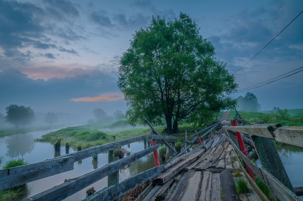 Фотография автора Алексей