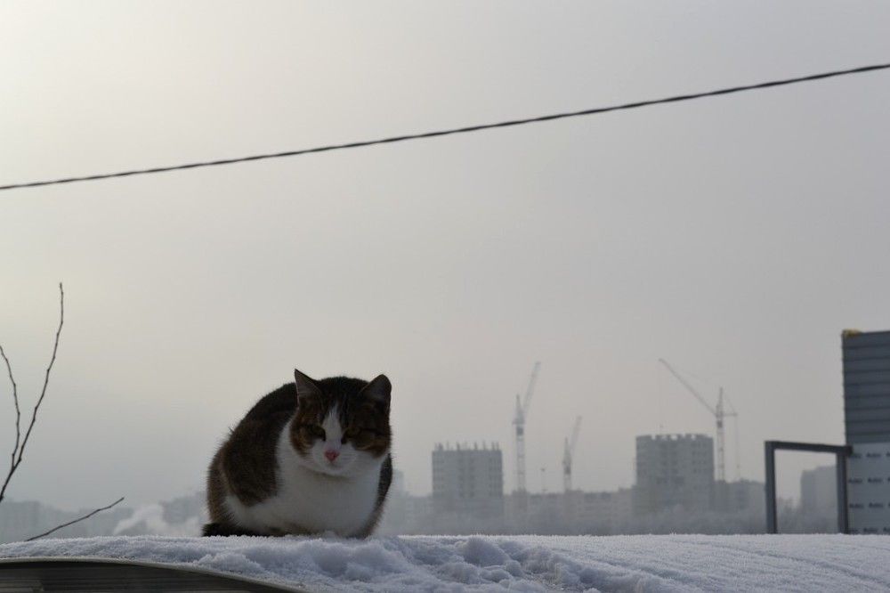 Photograph by Дарья Турова