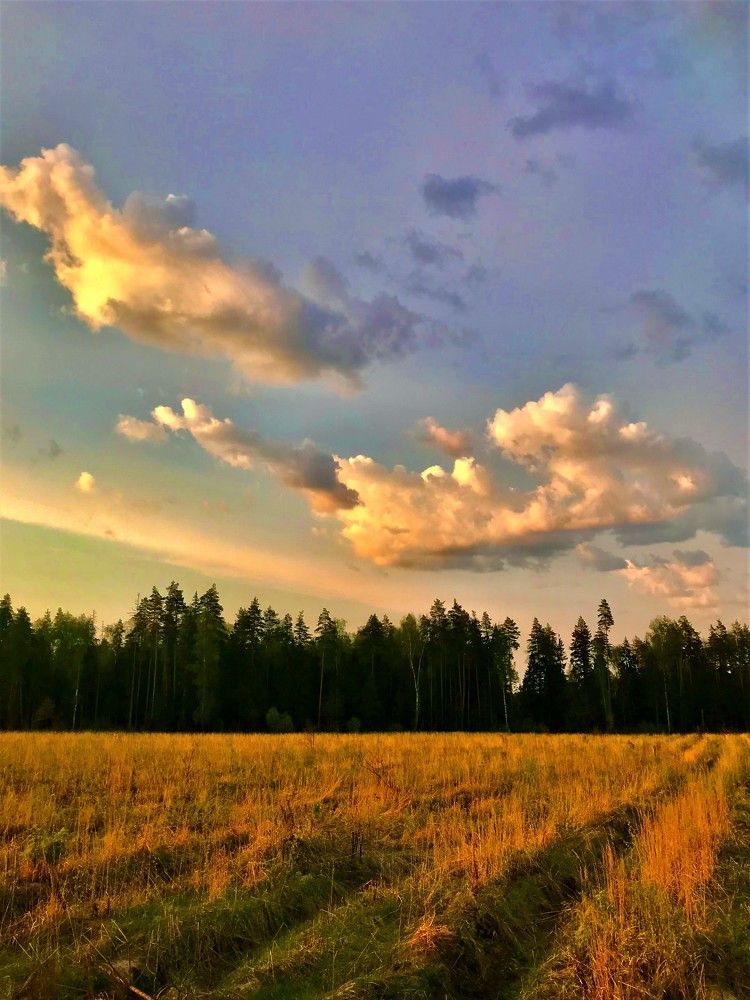 Photograph by Михаил Некрасов