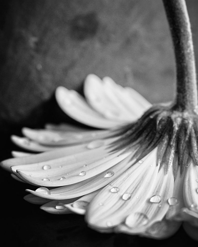 Photograph by Kira Bahvalova