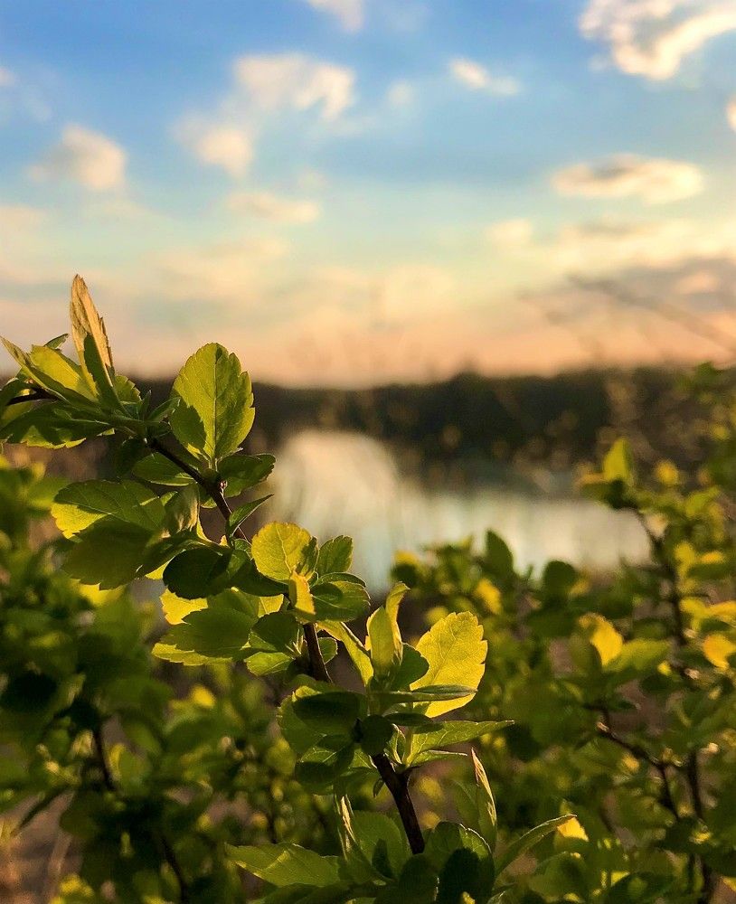 Photograph by Михаил Некрасов