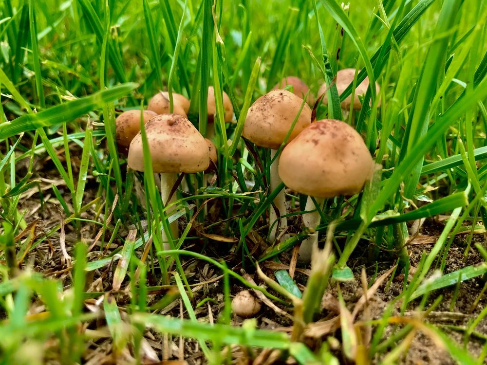 Photograph by Михаил Некрасов