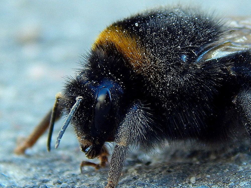 Photograph by Сашко Губаревич