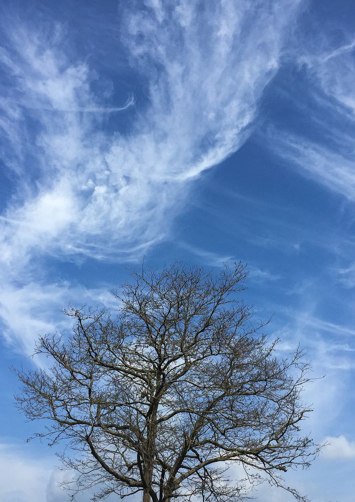 Photograph by avishka koralage