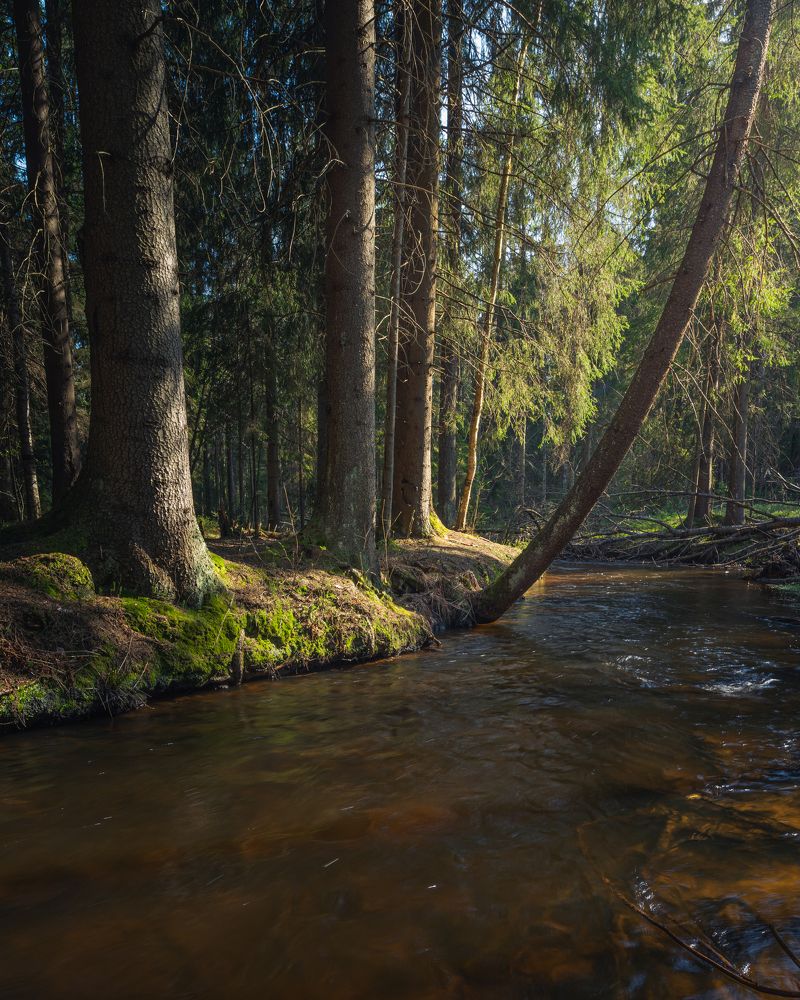 Photograph by Евгений Волосков